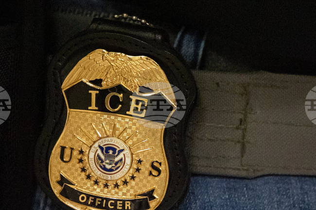 Immigration Agent Struck
