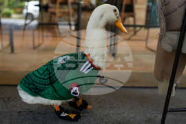 Mexico WCup Mascot