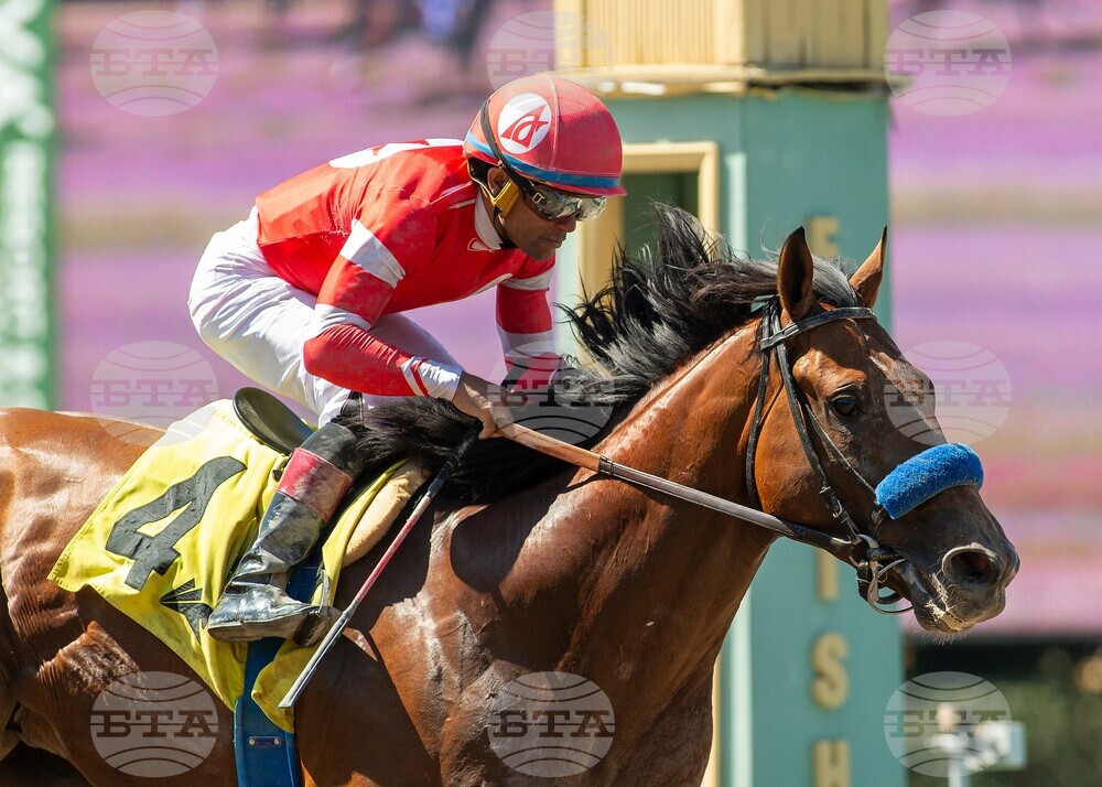 Santa Anita Horse Racing