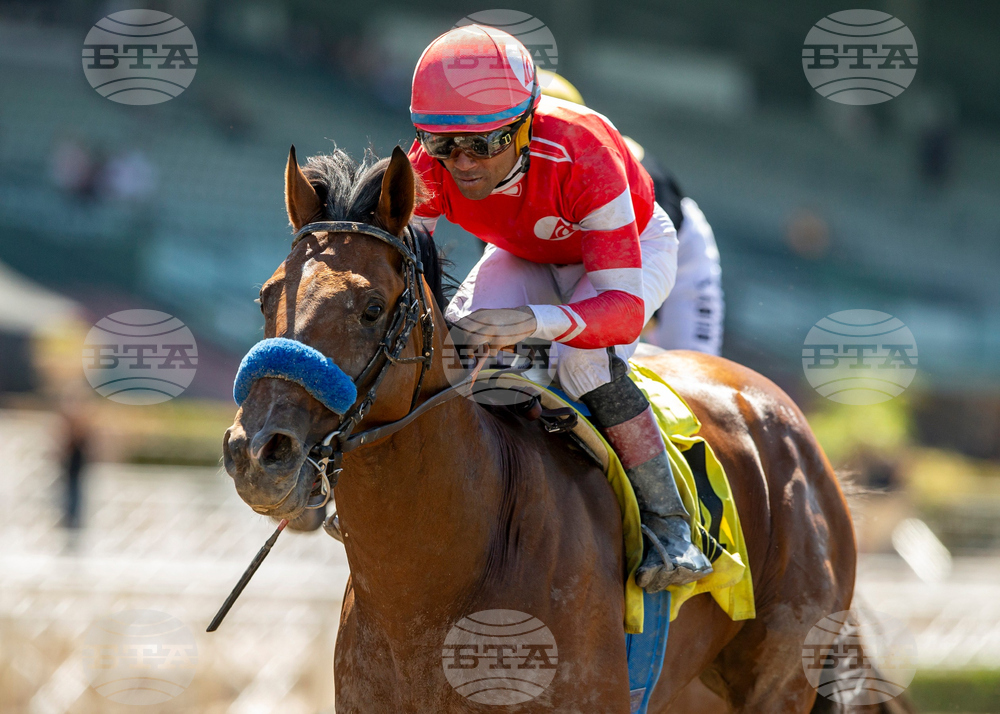 Santa Anita Horse Racing
