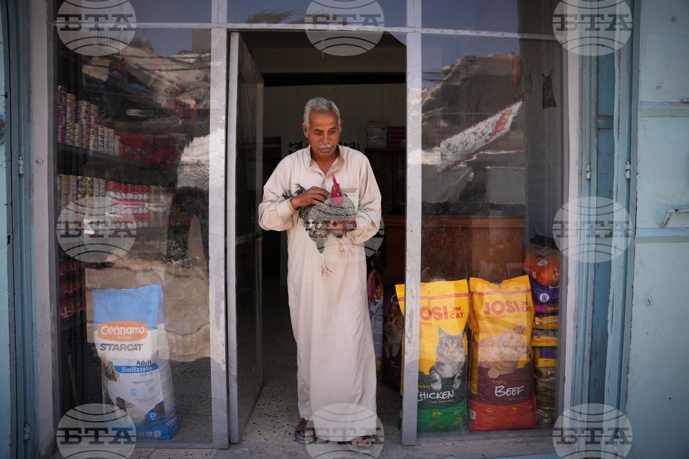 Palestinians Gaza's Pets