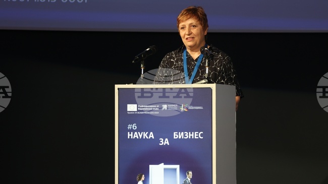 Businesses Must Learn to Take More Risks, Trust Bulgarian Scientists, Bulgarian Academy of Sciences Chair Says