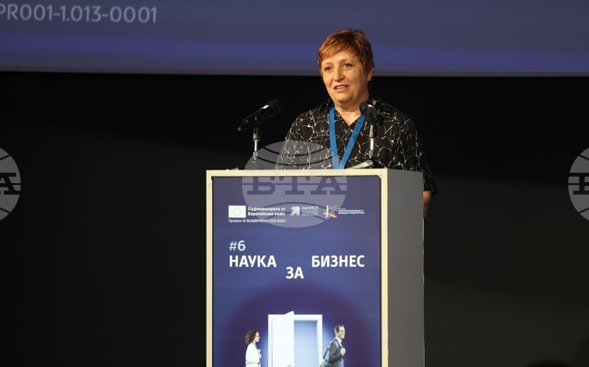 Businesses Must Learn to Take More Risks, Trust Bulgarian Scientists, Bulgarian Academy of Sciences Chair Says