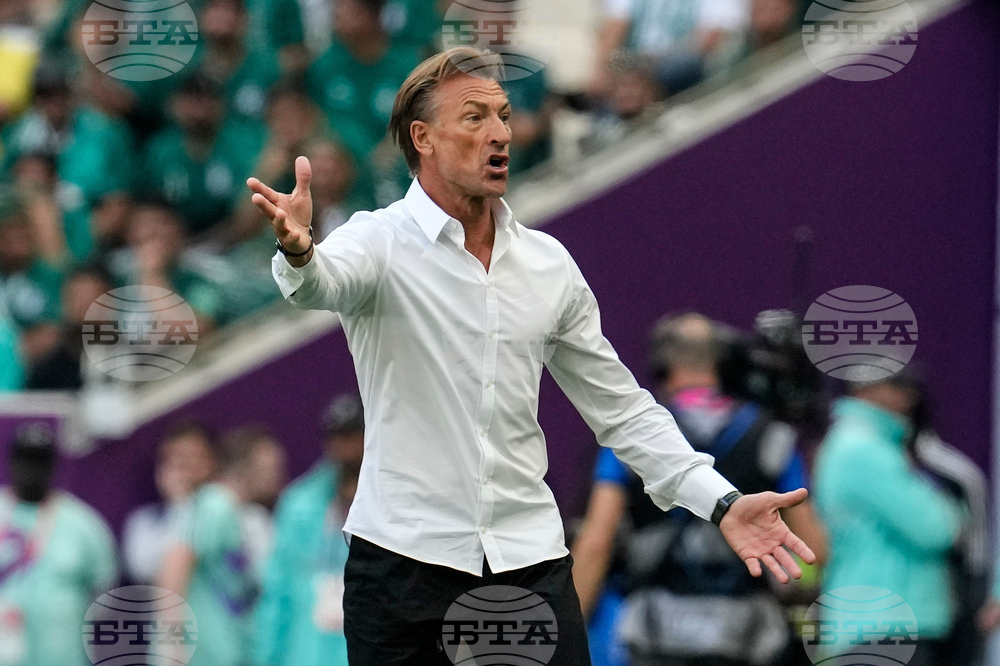 WCup Renard's Return