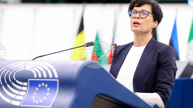 Докладчиците на ЕП за страни от Западните Балкани представиха годишните доклади на ЕК за напредъка