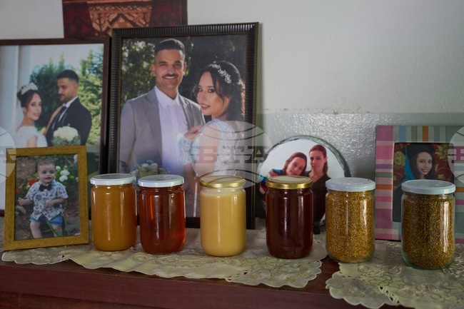 Lebanon Border Bees