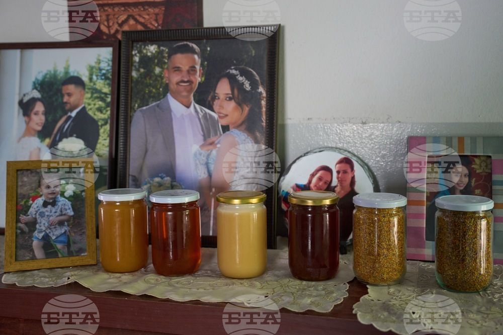 Lebanon Border Bees