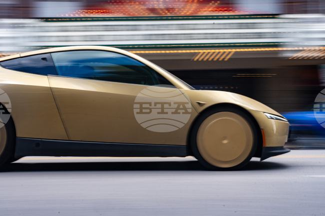Tesla Robotaxi