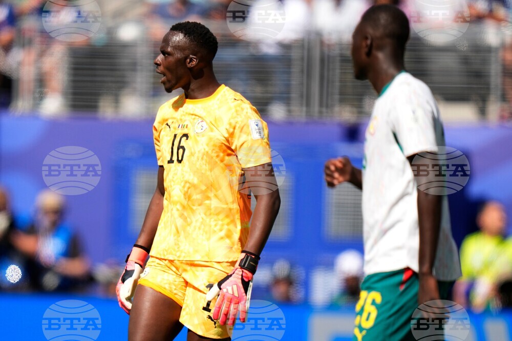 Senegal France WCup Soccer