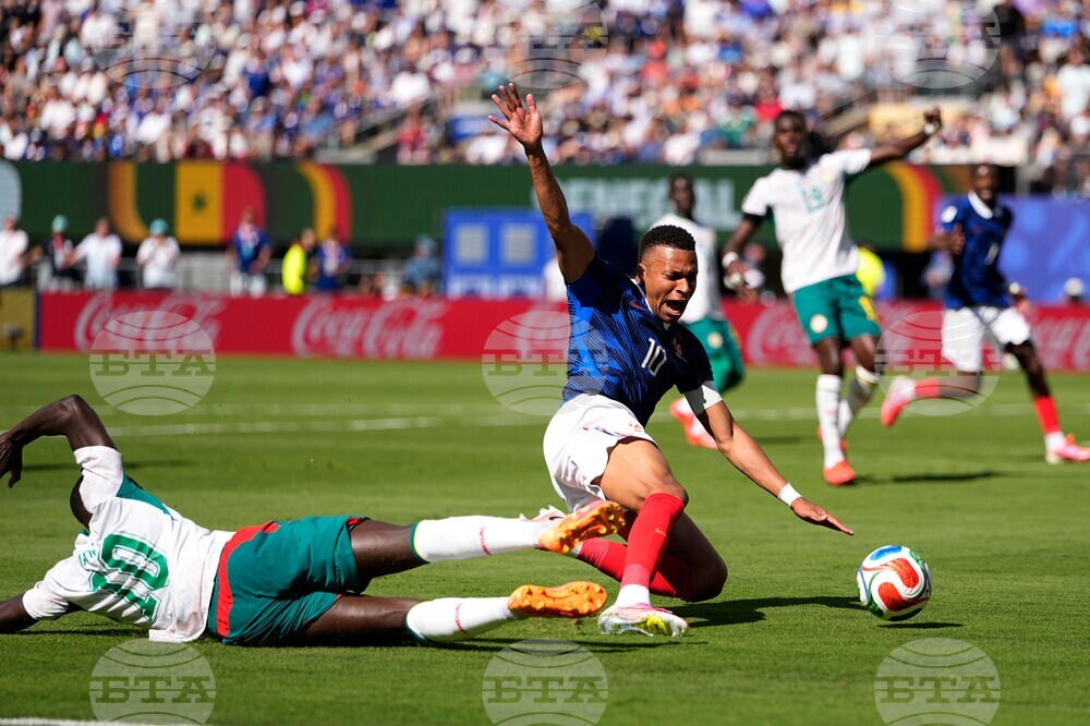 Senegal France WCup Soccer