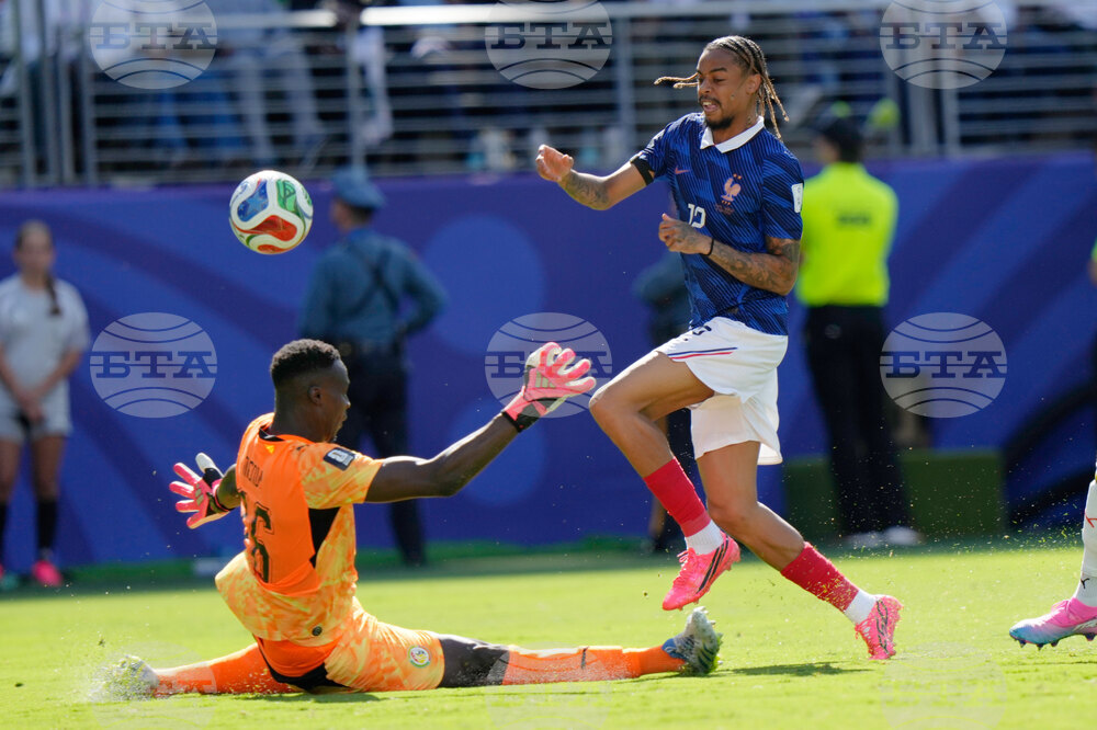 Senegal France WCup Soccer