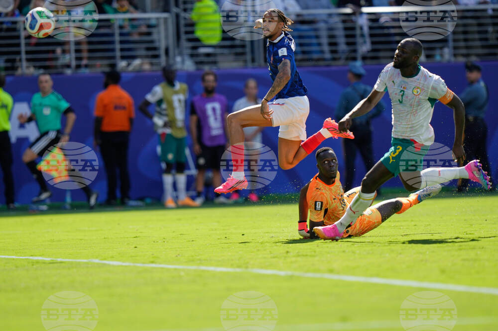 Senegal France WCup Soccer