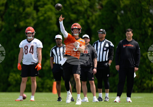 Bengals Football