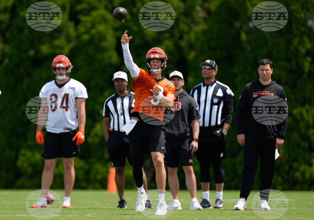 Bengals Football