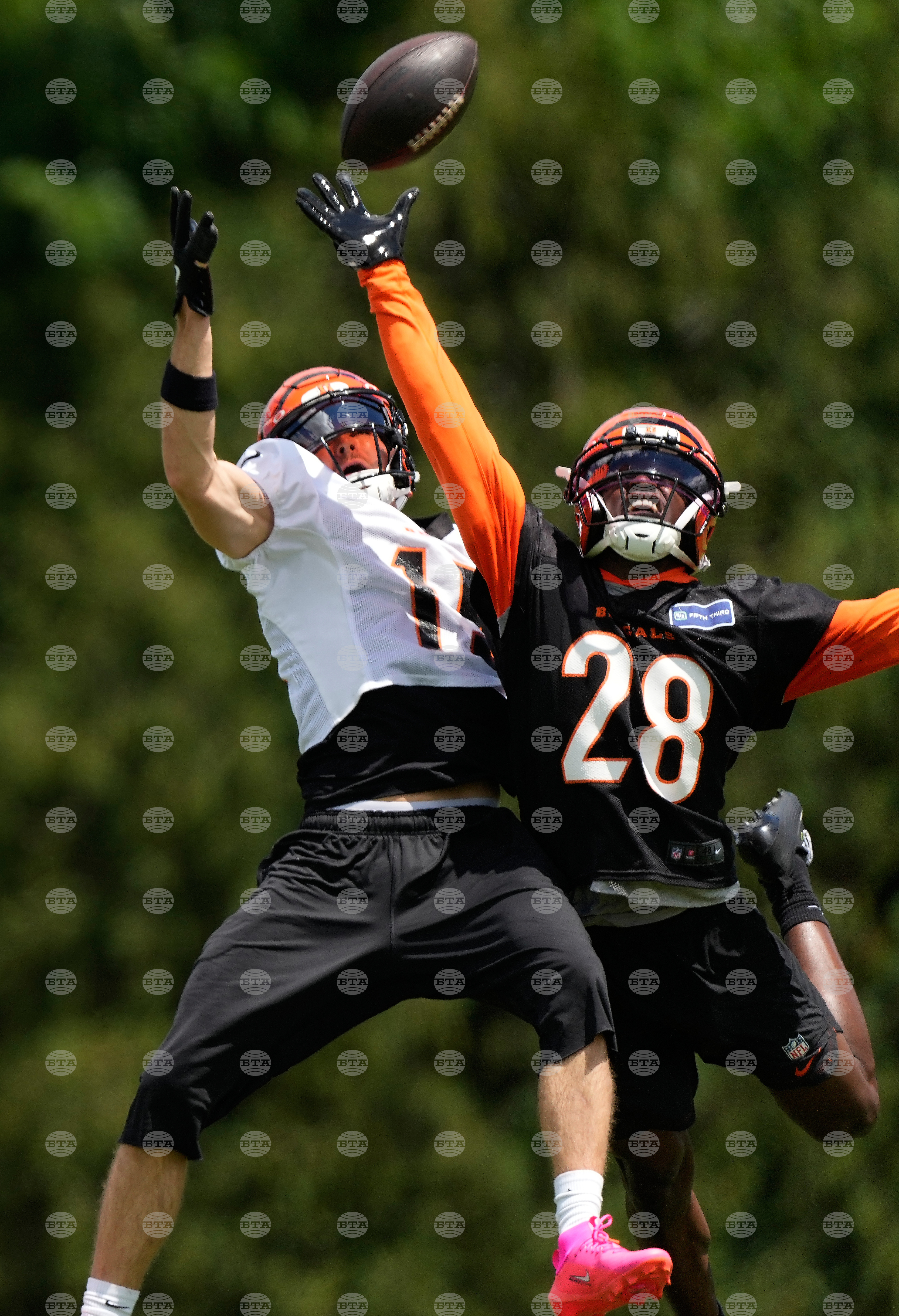 Bengals Football