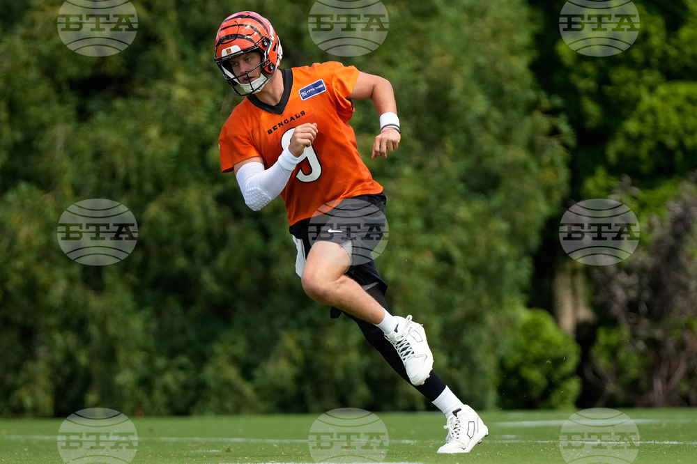 Bengals Football