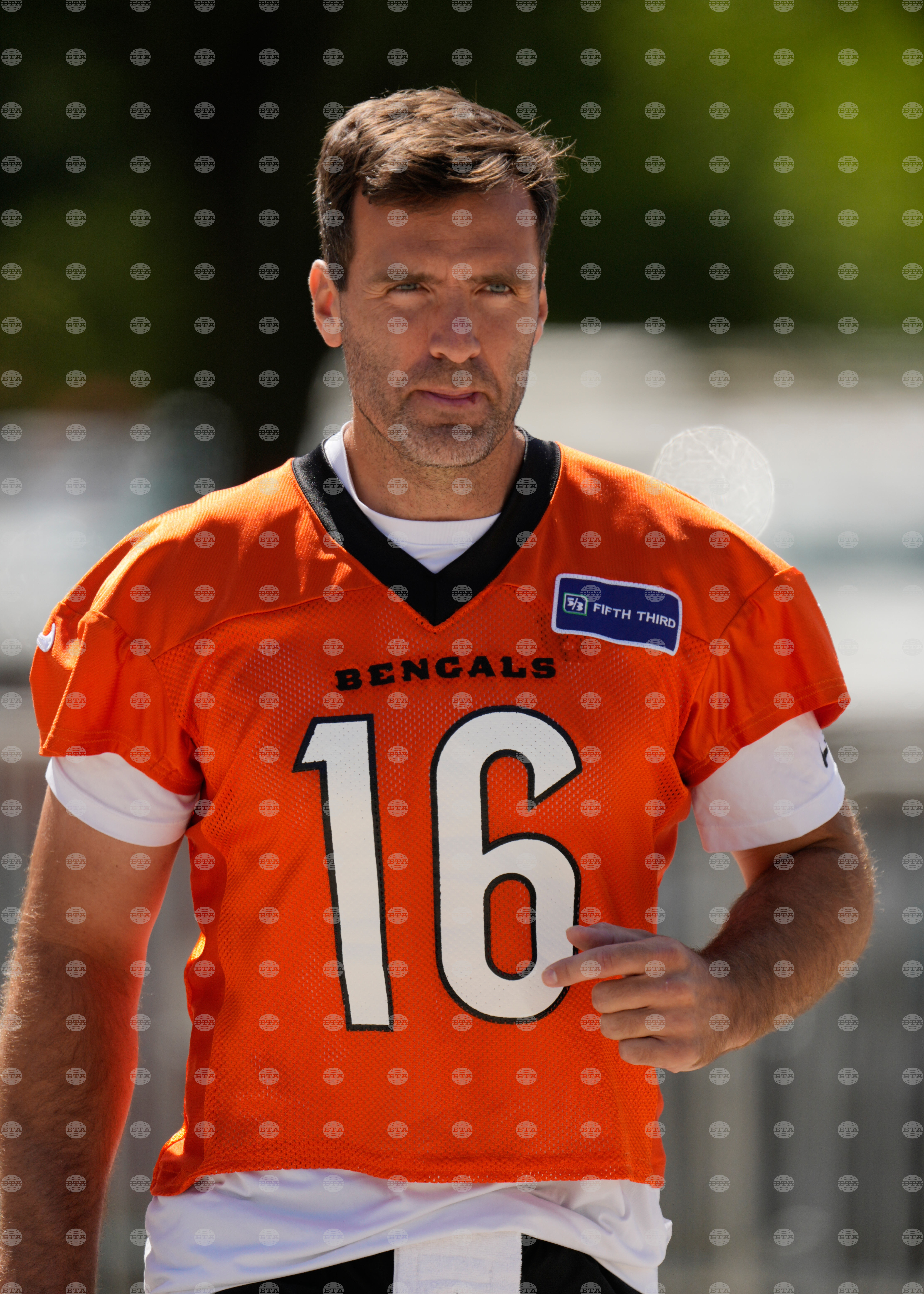 Bengals Football