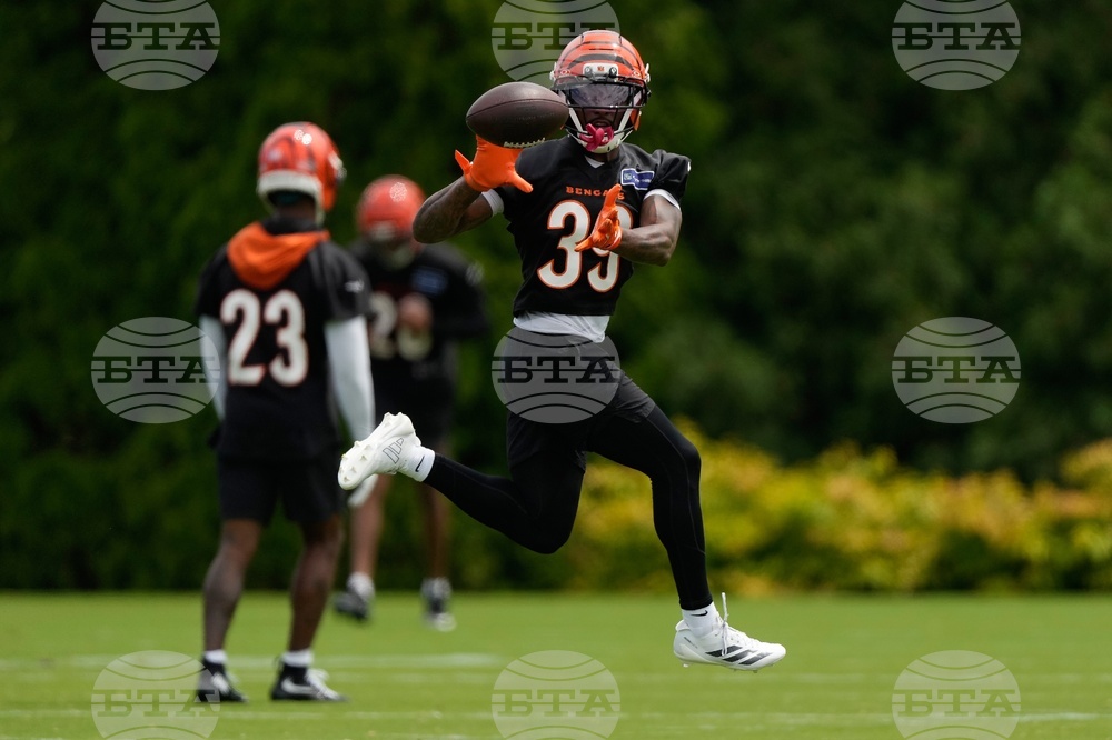 Bengals Football