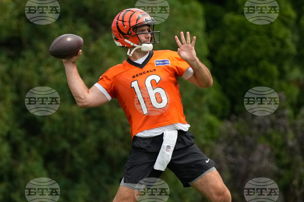 Bengals Football