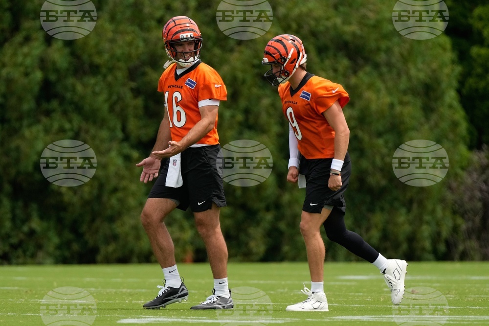 Bengals Football