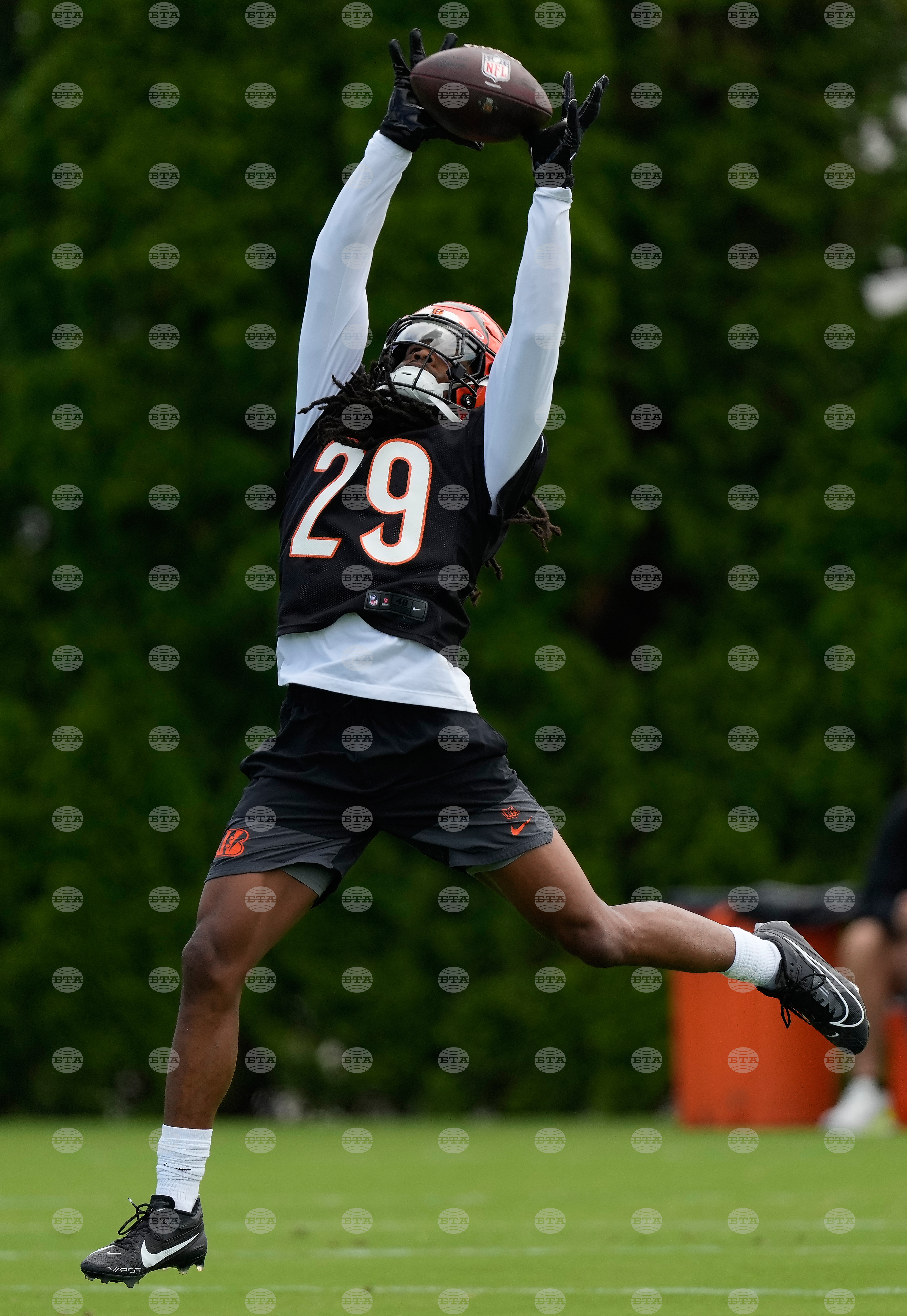 Bengals Football