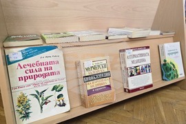 Видин - Регионална библиотека „Михалаки Георгиев“ - Еньовден - изложба