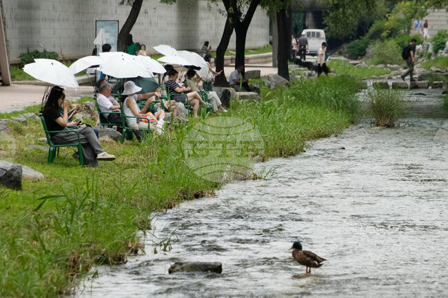 South Korea Extreme Weather Heat