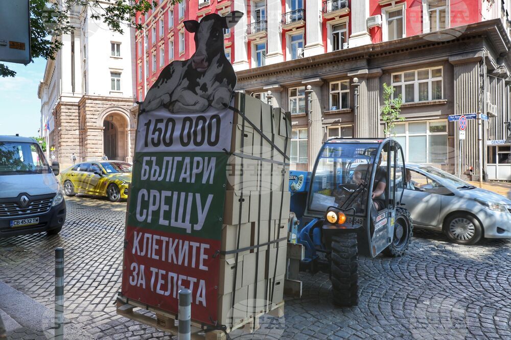 Организация „Невидими животни“ - петиция
