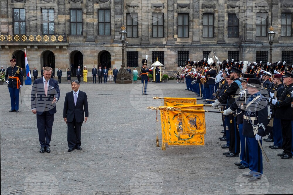 Netherlands Japan Royals