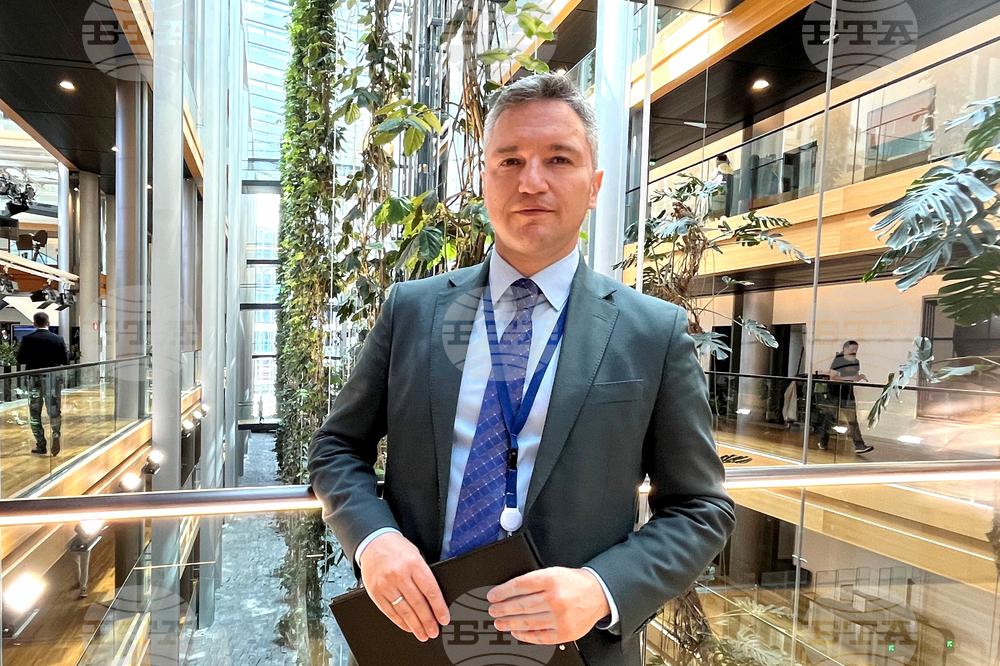 MEP Vigenin: Skopje Cannot Join EU without Sofia's Support