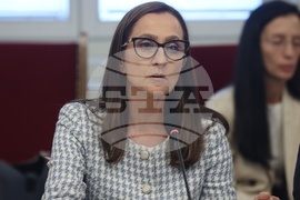 Народно събрание - Комисия по енергетика - заседание