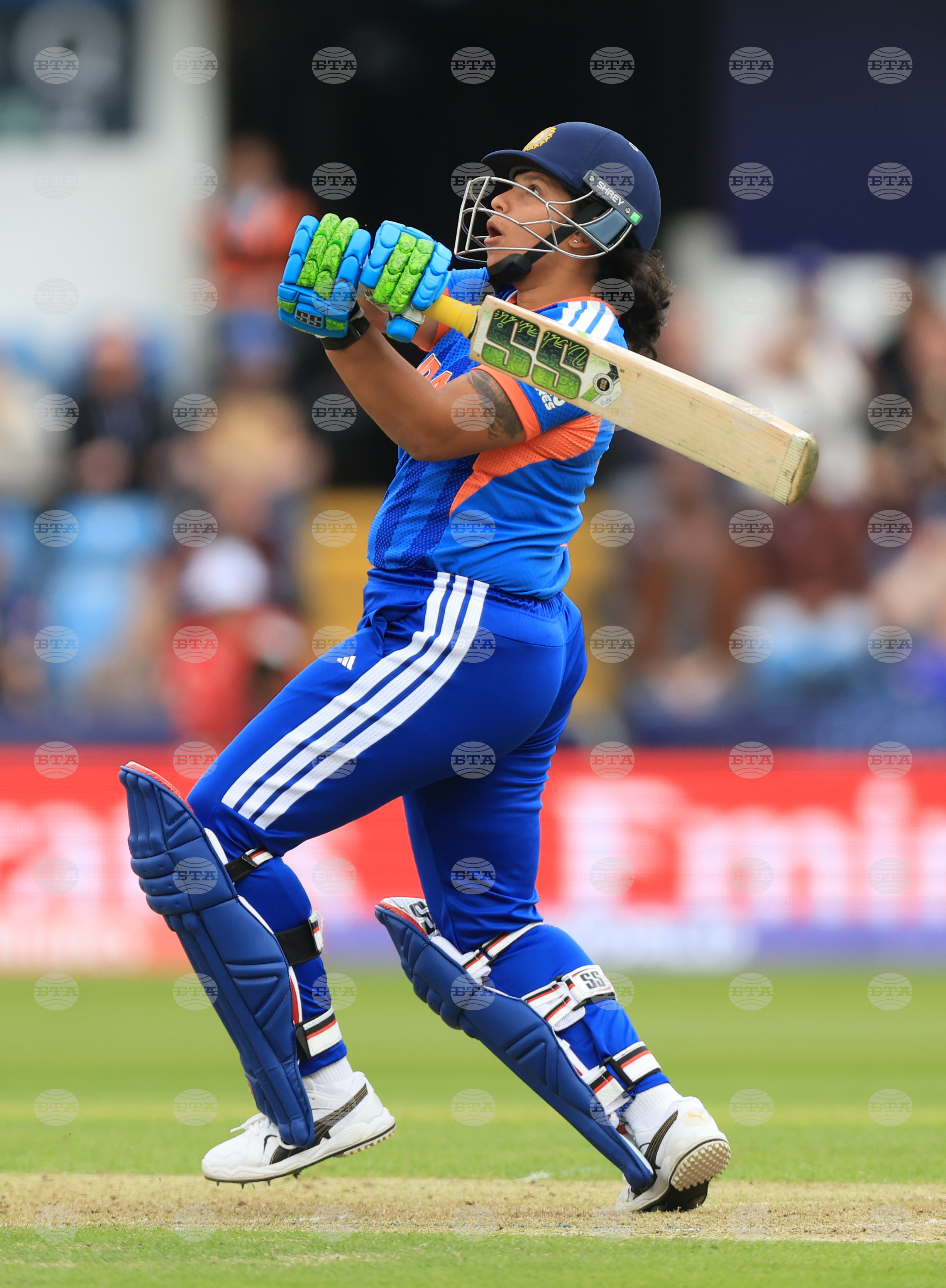 India Netherlands Women's T20 World Cup Cricket
