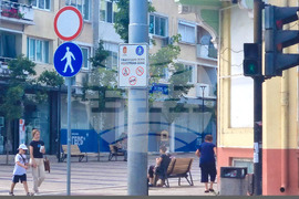 Добрич - електрически превозни средства - полицейска акция
