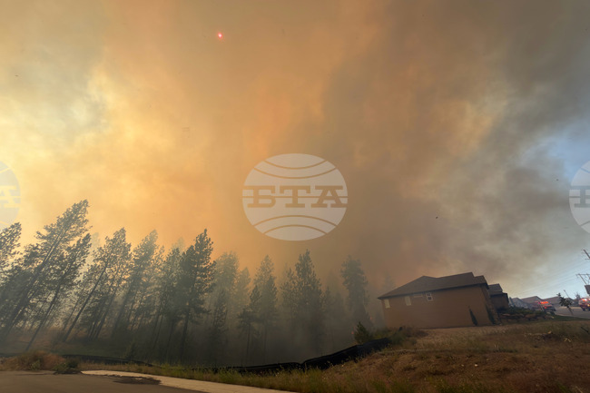 Western Wildfire