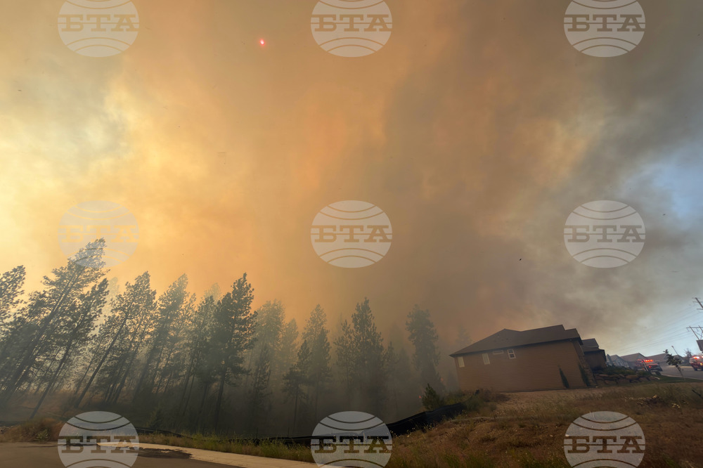 Western Wildfire