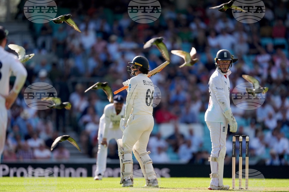 Britain England New Zealand Cricket