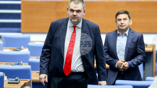 MRF Seeks Full Information on National Service for Protection Guarding Peevski, Other Persons since 2013 