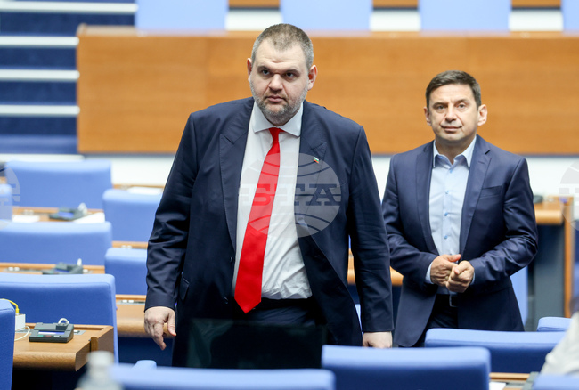 MRF Seeks Full Information on National Service for Protection Guarding Peevski, Other Persons since 2013 