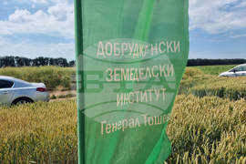 Генерал Тошево - Добруджански земеделски институт - Ден на отворените врати