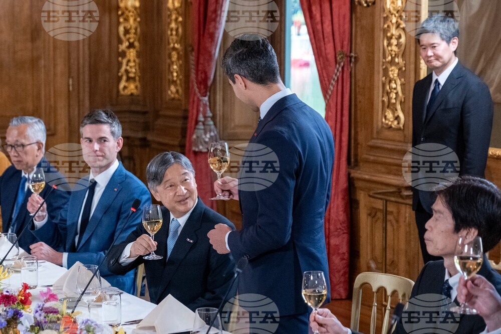 Netherlands Japan Royals