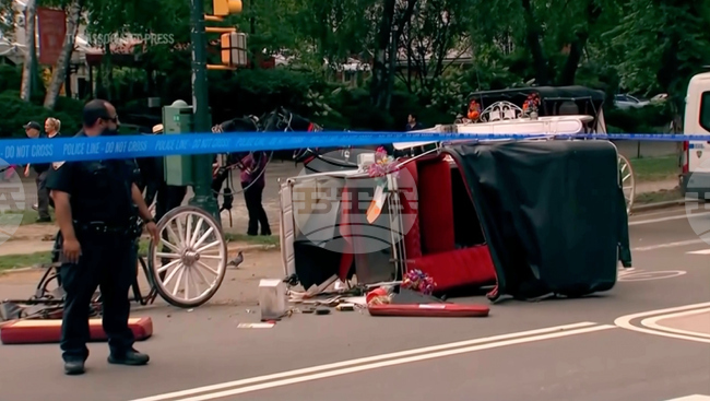 Horse Carriage Death