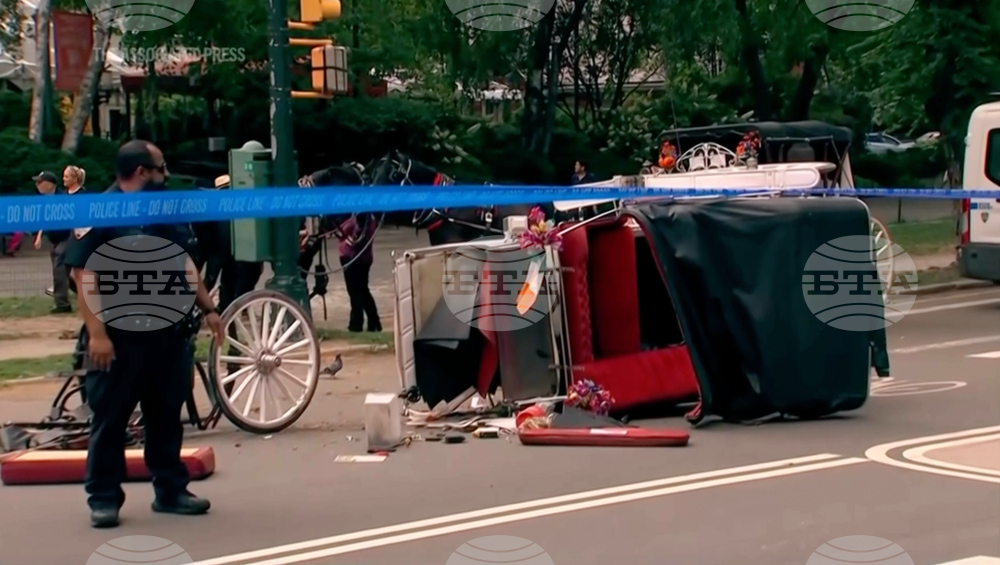 Horse Carriage Death