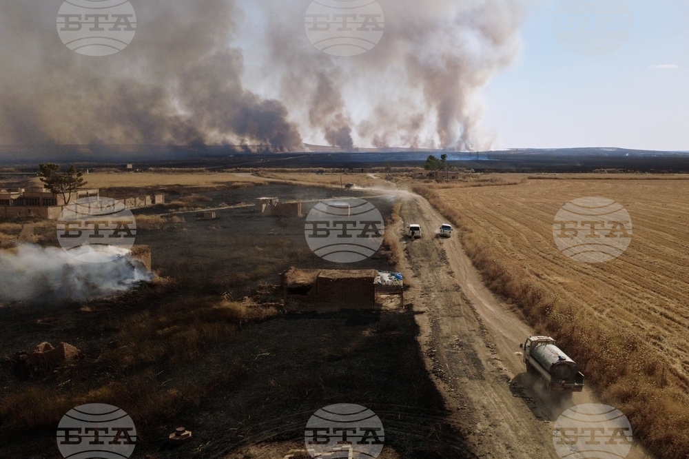 Syria Wildfires