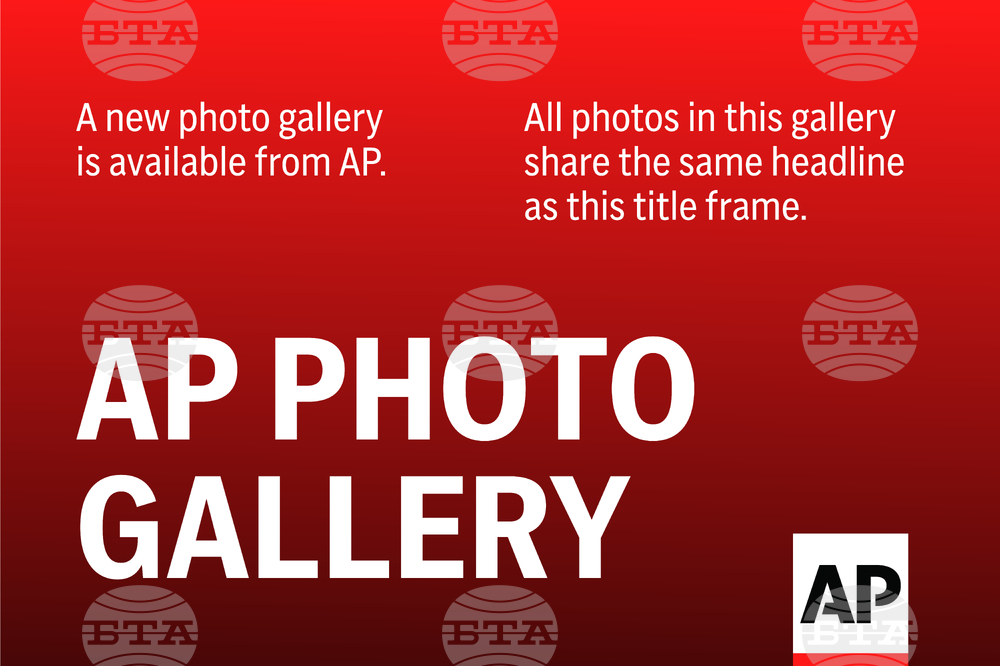 Photos of the Day Photo Gallery