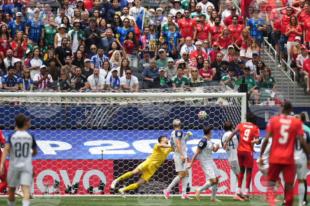 Bosnia Switzerland WCup Soccer