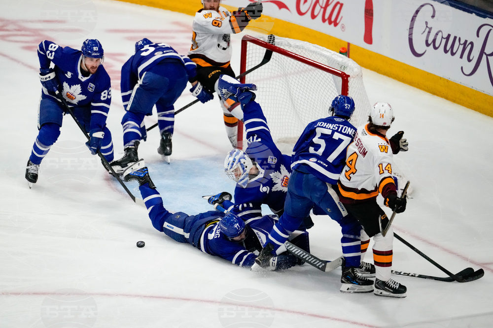 Calder Cup Final Hockey