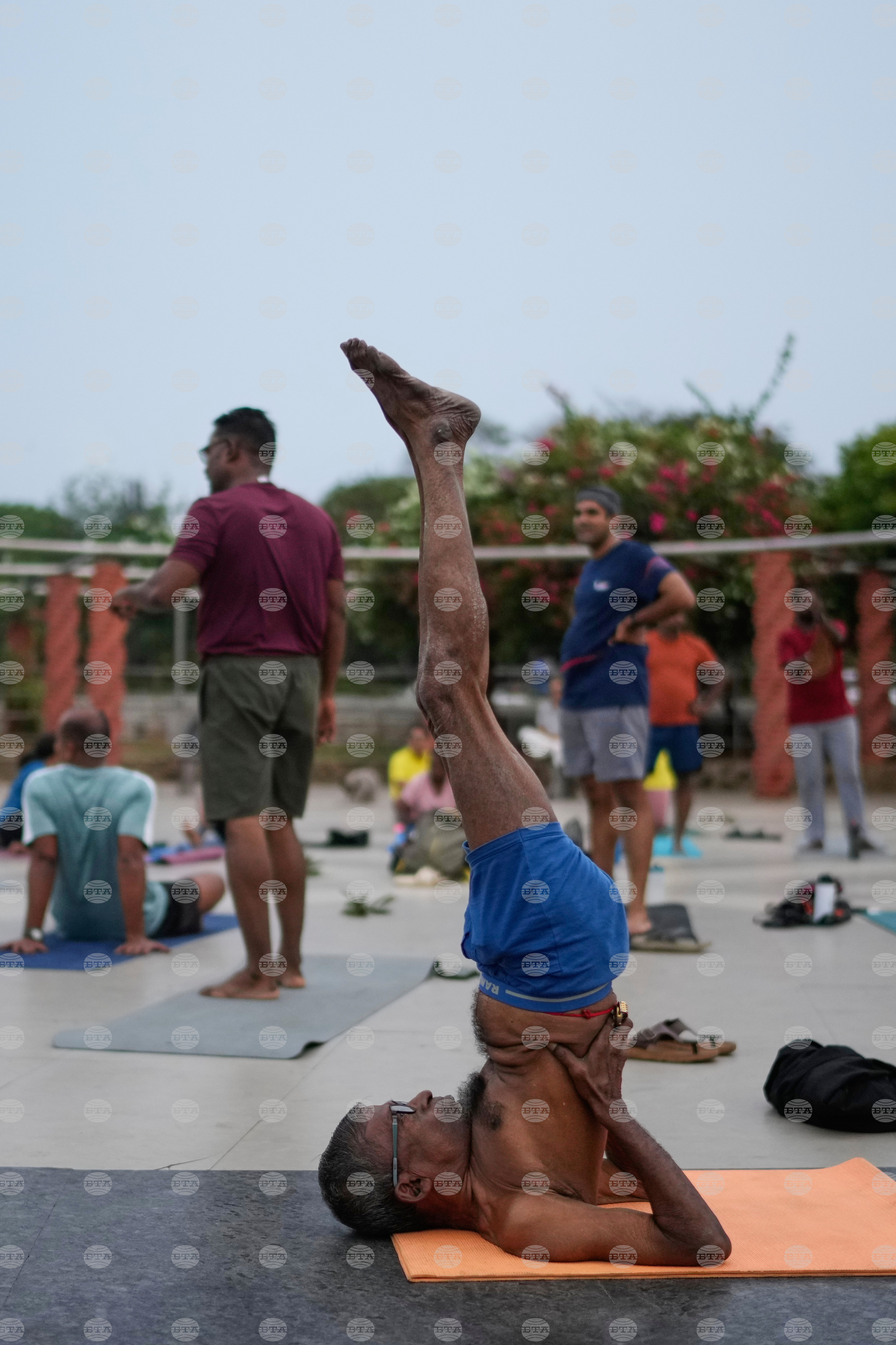 India International Yoga Day