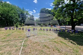 Чирпан - Международен фестивал на лавандулата 2026
