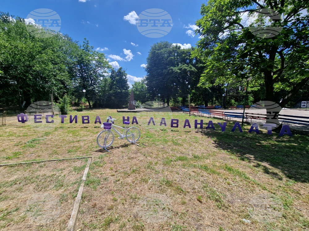 Чирпан - Международен фестивал на лавандулата 2026