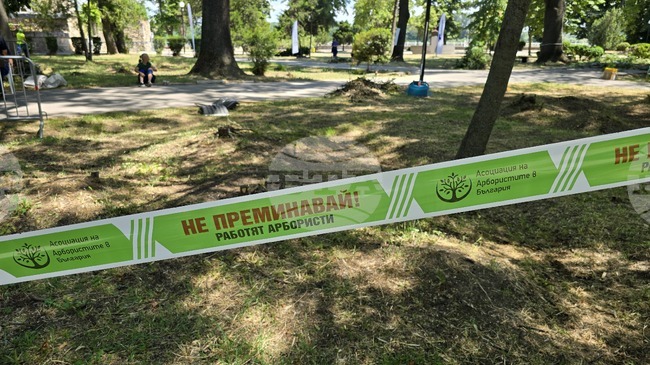 Арбористи от страната ще участват в национално състезание по катерене на дървета във Видин